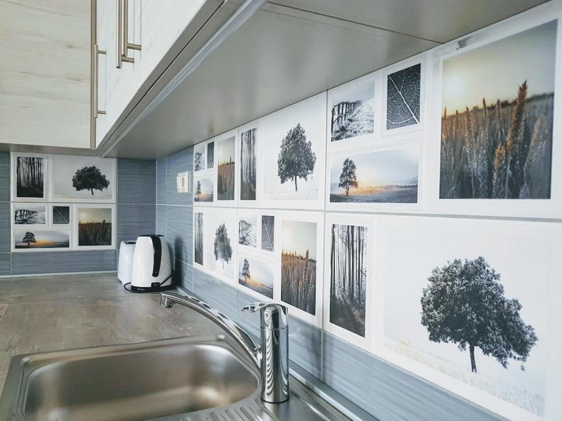 Silver Lodge Apartments Эгер Экстерьер фото